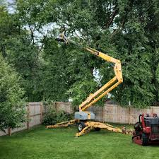 Best Lawn Maintenance Plans  in Clarksville, TX
