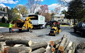 Best Arborist Consultation Services  in Clarksville, TX