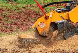 Best Tree Cabling and Bracing  in Clarksville, TX