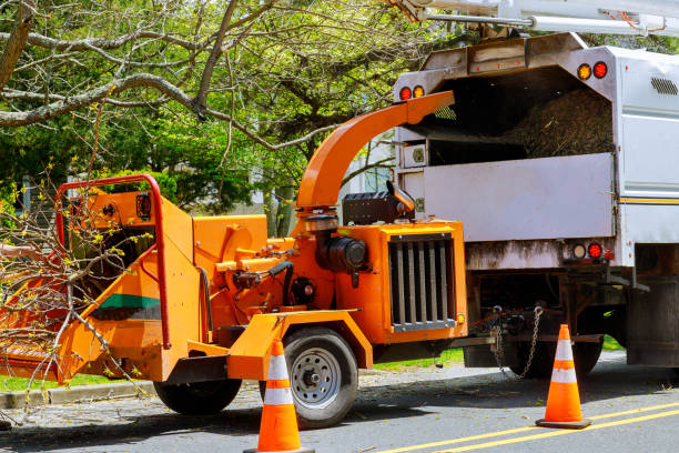 Best Firewood Processing and Delivery  in Clarksville, TX
